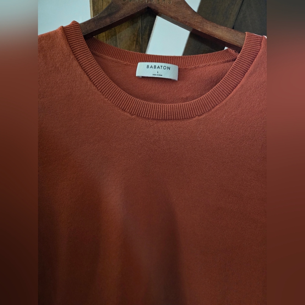 Aritzia Babaton Rust Crewneck Sweater L